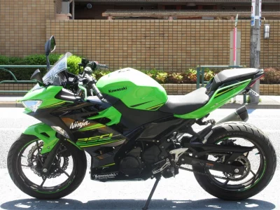 Kawasaki Ninja 250