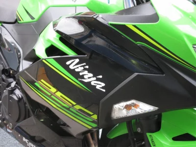 Kawasaki Ninja 250