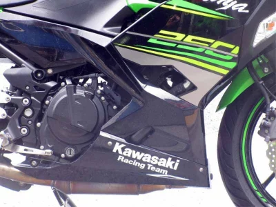 Kawasaki Ninja 250