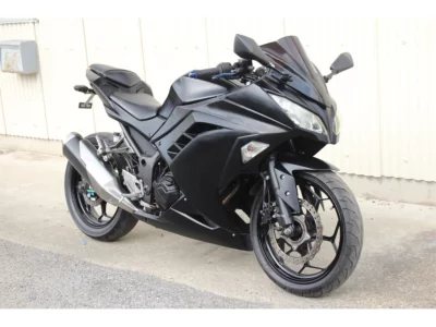 Kawasaki Ninja 250 ABS SE