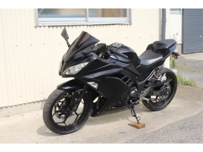 Kawasaki Ninja 250 ABS SE