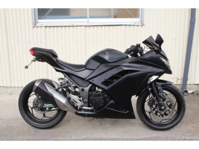 Kawasaki Ninja 250 ABS SE с аукционов Японии