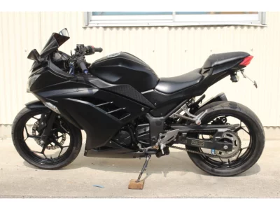 Kawasaki Ninja 250 ABS SE с аукционов Японии