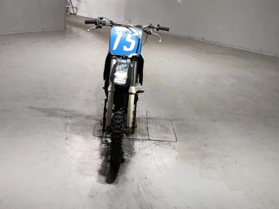 Suzuki RM250
