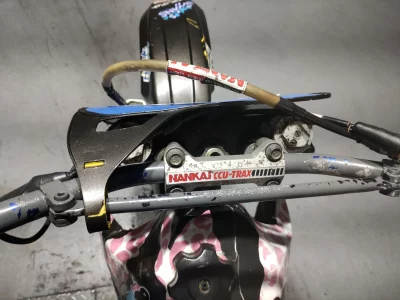 Suzuki RM250