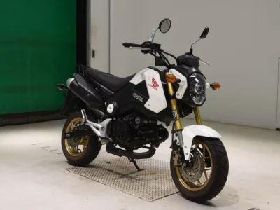 Honda GU ROM