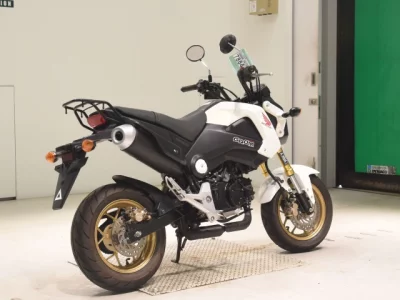 Honda GU ROM