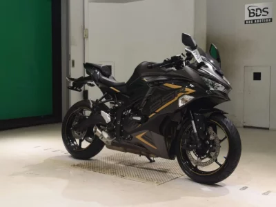Kawasaki ZX-25R