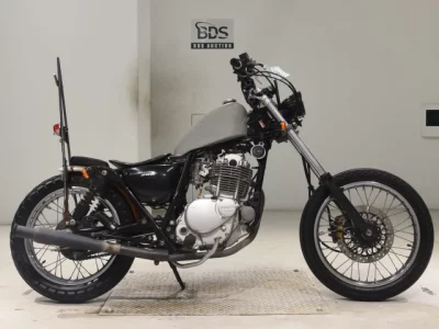Suzuki GLASS TRACKER BIG BOY