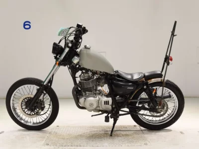 Suzuki GLASS TRACKER BIG BOY