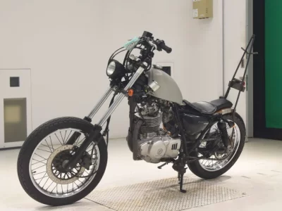 Suzuki GLASS TRACKER BIG BOY