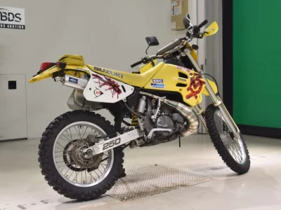 Suzuki RMX250S
