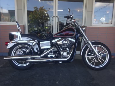 Harley-Davidson HARLEY FXDL1580