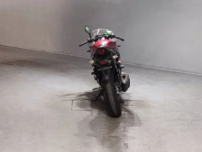 Suzuki GSX250R