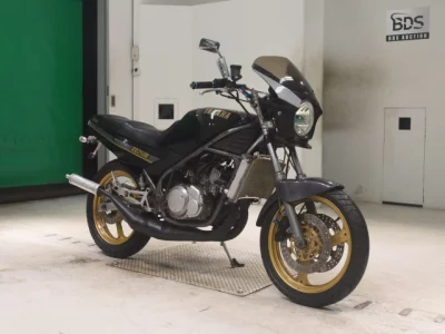 Yamaha RZ250R