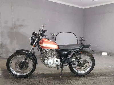 Suzuki GLASS TRACKER BIG BOY