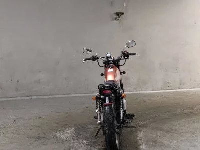 Suzuki GLASS TRACKER BIG BOY
