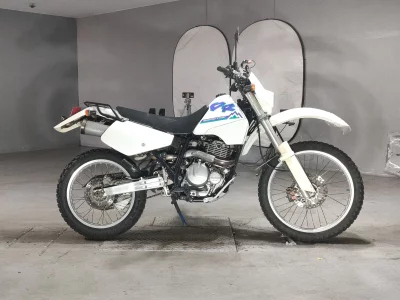 Suzuki DR250S