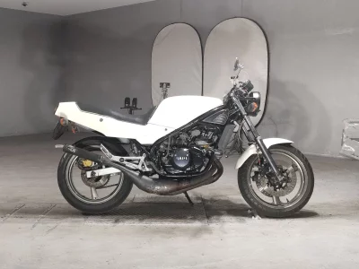 Yamaha RZ250R
