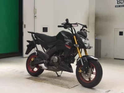 Kawasaki Z125PRO
