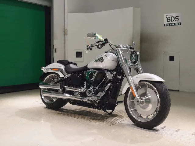 Harley-Davidson HARLEY FLFB1920  с аукциона в Японии