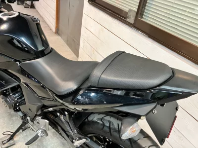 Suzuki GSX250R
