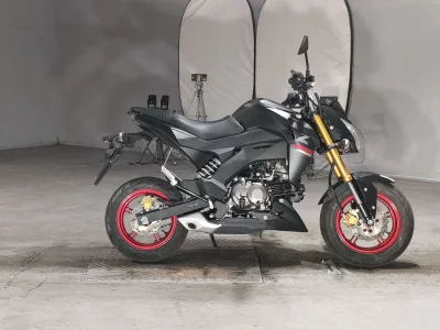 Kawasaki Z125 PRO 