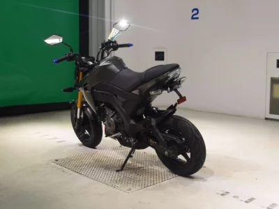 Kawasaki Z125PRO