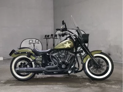 Harley-Davidson  HARLEY FLSS1800, 2017 — лот японского мото-аукциона