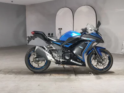 Kawasaki NINJA250