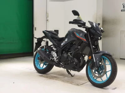 Yamaha MT-25A