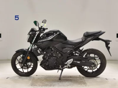 Yamaha MT-25
