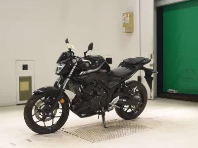 Yamaha MT-25
