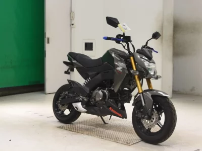 Kawasaki Z125PRO