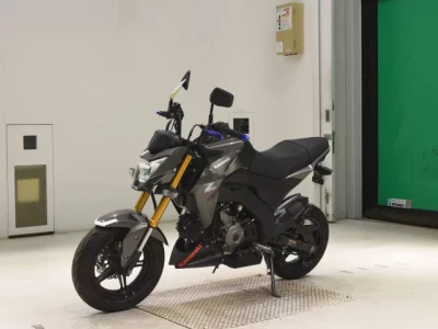 Kawasaki Z125PRO