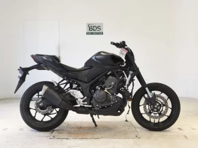 Yamaha YZF-R25A