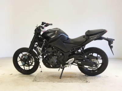 Yamaha YZF-R25A