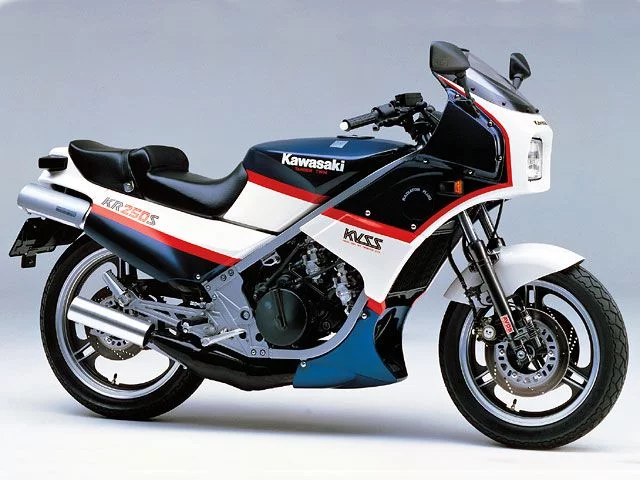 Kawasaki KR250S