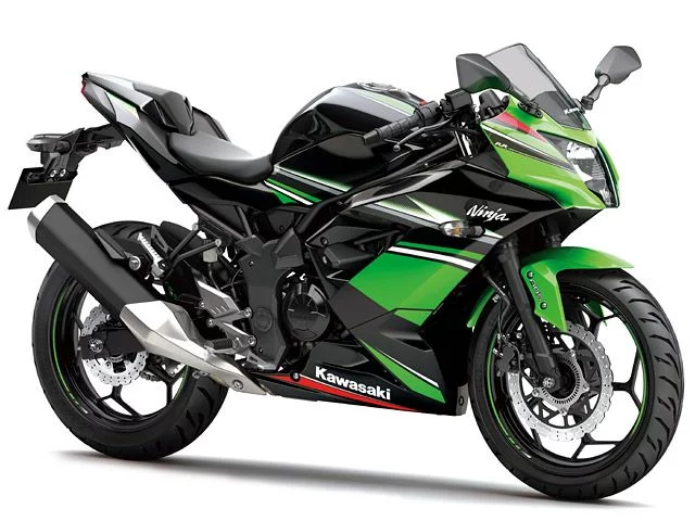 Kawasaki Ninja RR Mono