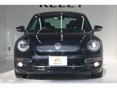 VOLKSWAGEN THE BEETLE