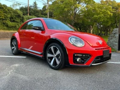 VOLKSWAGEN THE BEETLE