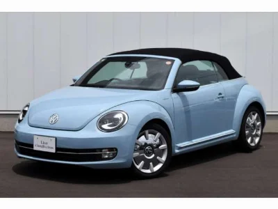 VOLKSWAGEN THE BEETLE