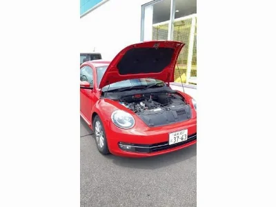 VOLKSWAGEN THE BEETLE