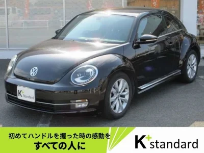 VOLKSWAGEN THE BEETLE