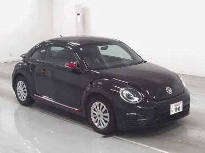 VOLKSWAGEN THE BEETLE