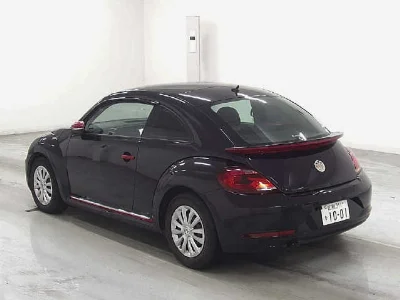 VOLKSWAGEN THE BEETLE