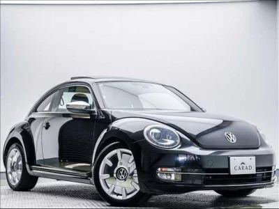 VOLKSWAGEN THE BEETLE