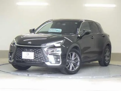 LEXUS LBX