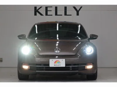 VOLKSWAGEN THE BEETLE