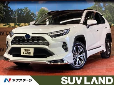 TOYOTA RAV4 2024 с аукциона, 2500cc, пробег 32 000 км